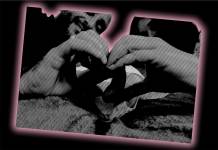 Laëtitia FUCHS - LYON EYE'S PHOTOGRAPHY