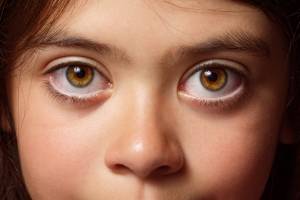 Sebastien JOUBERT - JOUBERT